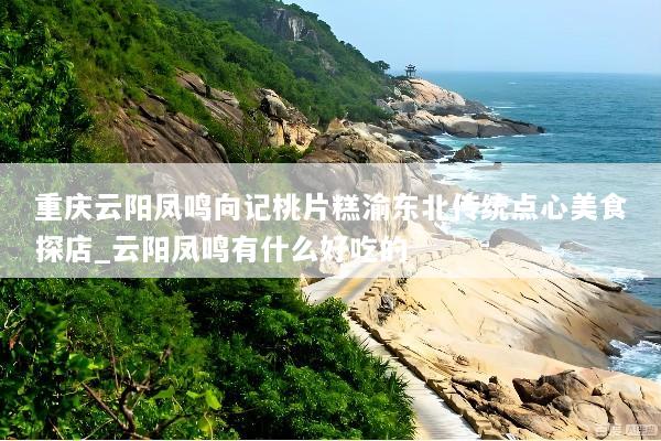 重庆云阳凤鸣向记桃片糕渝东北传统点心美食探店_云阳凤鸣有什么好吃的