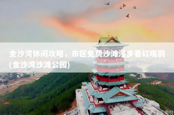 金沙湾休闲攻略，市区免费沙滩漫步看红嘴鸥(金沙湾沙滩公园)