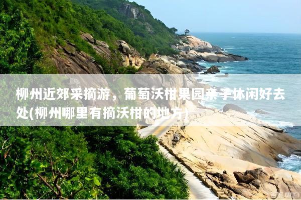 柳州近郊采摘游，葡萄沃柑果园亲子休闲好去处(柳州哪里有摘沃柑的地方)