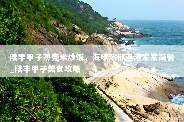 陆丰甲子薄壳米炒饭，海味浓郁渔港家常简餐_陆丰甲子美食攻略
