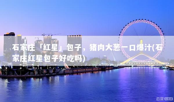 石家庄「红星」包子，猪肉大葱一口爆汁(石家庄红星包子好吃吗)