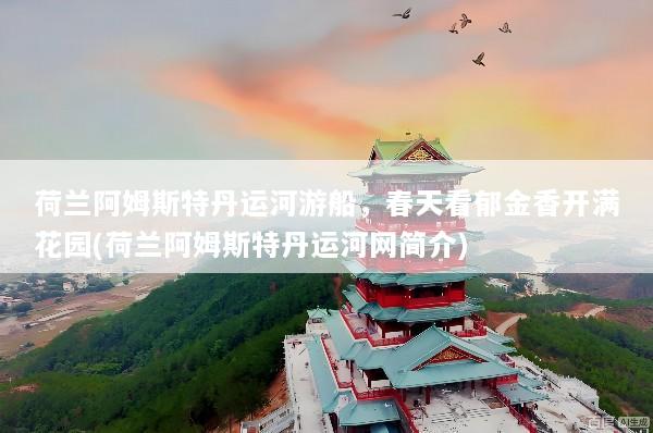 荷兰阿姆斯特丹运河游船，春天看郁金香开满花园(荷兰阿姆斯特丹运河网简介)