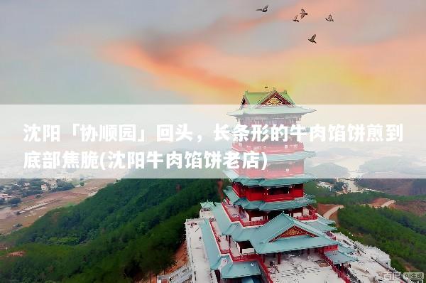 沈阳「协顺园」回头，长条形的牛肉馅饼煎到底部焦脆(沈阳牛肉馅饼老店)