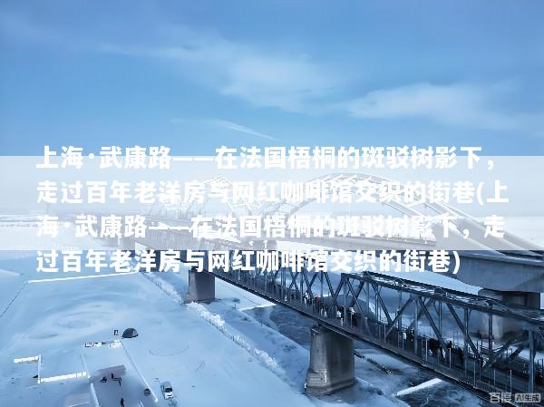 上海·武康路——在法国梧桐的斑驳树影下，走过百年老洋房与网红咖啡馆交织的街巷(上海·武康路——在法国梧桐的斑驳树影下，走过百年老洋房与网红咖啡馆交织的街巷)