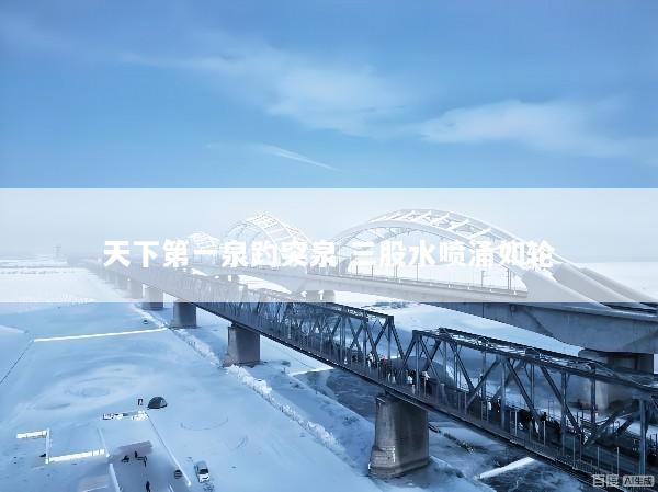 天下第一泉趵突泉 三股水喷涌如轮