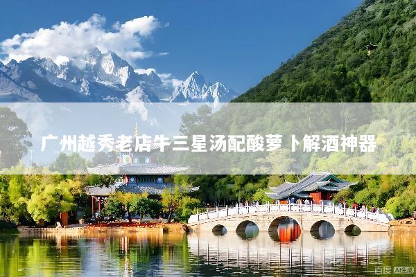 广州越秀老店牛三星汤配酸萝卜解酒神器