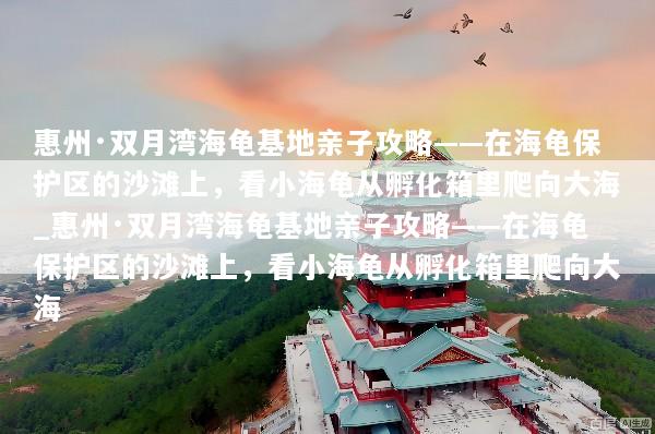 惠州·双月湾海龟基地亲子攻略——在海龟保护区的沙滩上，看小海龟从孵化箱里爬向大海_惠州·双月湾海龟基地亲子攻略——在海龟保护区的沙滩上，看小海龟从孵化箱里爬向大海