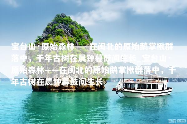 宝台山·原始森林——在闽北的原始鹅掌楸群落中，千年古树在晨钟暮鼓间生长_宝台山·原始森林——在闽北的原始鹅掌楸群落中，千年古树在晨钟暮鼓间生长