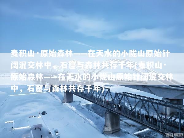 麦积山·原始森林——在天水的小陇山原始针阔混交林中，石窟与森林共存千年(麦积山·原始森林——在天水的小陇山原始针阔混交林中，石窟与森林共存千年)