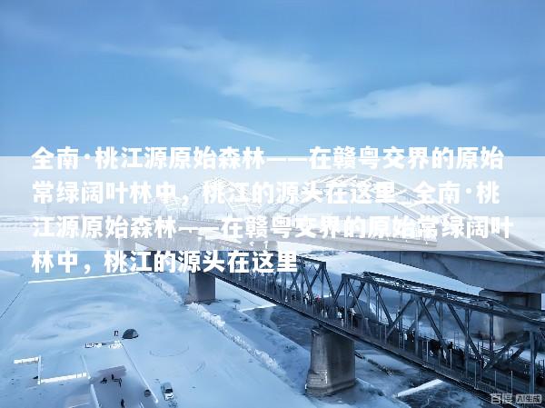 全南·桃江源原始森林——在赣粤交界的原始常绿阔叶林中，桃江的源头在这里_全南·桃江源原始森林——在赣粤交界的原始常绿阔叶林中，桃江的源头在这里