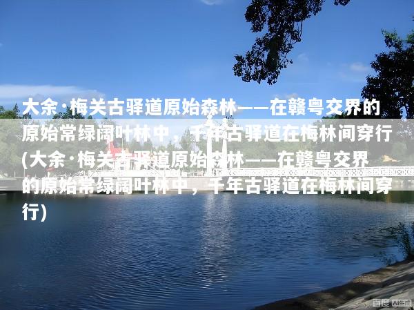 大余·梅关古驿道原始森林——在赣粤交界的原始常绿阔叶林中，千年古驿道在梅林间穿行(大余·梅关古驿道原始森林——在赣粤交界的原始常绿阔叶林中，千年古驿道在梅林间穿行)