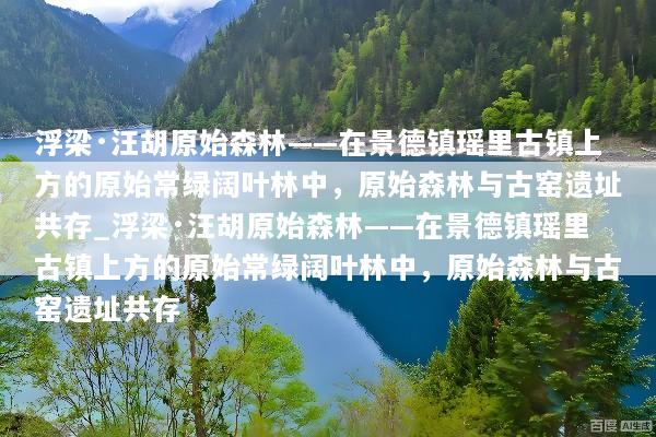 浮梁·汪胡原始森林——在景德镇瑶里古镇上方的原始常绿阔叶林中，原始森林与古窑遗址共存_浮梁·汪胡原始森林——在景德镇瑶里古镇上方的原始常绿阔叶林中，原始森林与古窑遗址共存