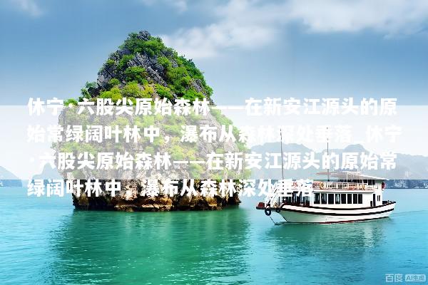 休宁·六股尖原始森林——在新安江源头的原始常绿阔叶林中，瀑布从森林深处垂落_休宁·六股尖原始森林——在新安江源头的原始常绿阔叶林中，瀑布从森林深处垂落