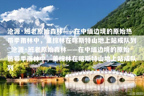 沧源·班老原始森林——在中缅边境的原始热带季雨林中，董棕林在喀斯特山地上站成队列_沧源·班老原始森林——在中缅边境的原始热带季雨林中，董棕林在喀斯特山地上站成队列