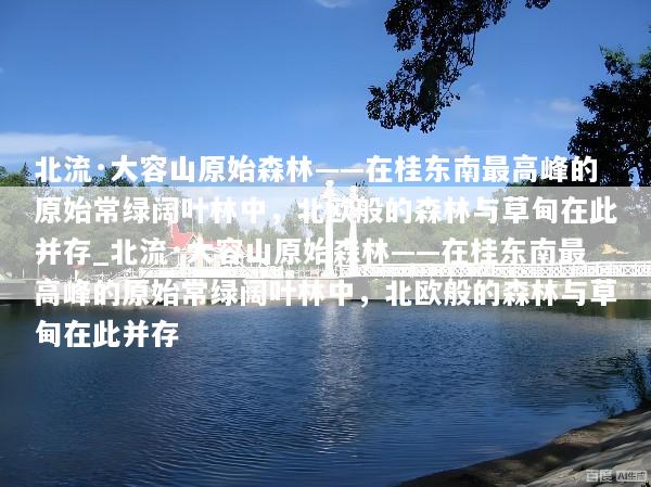 北流·大容山原始森林——在桂东南最高峰的原始常绿阔叶林中，北欧般的森林与草甸在此并存_北流·大容山原始森林——在桂东南最高峰的原始常绿阔叶林中，北欧般的森林与草甸在此并存