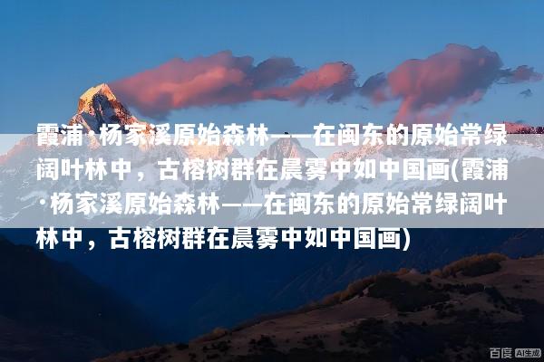 霞浦·杨家溪原始森林——在闽东的原始常绿阔叶林中，古榕树群在晨雾中如中国画(霞浦·杨家溪原始森林——在闽东的原始常绿阔叶林中，古榕树群在晨雾中如中国画)