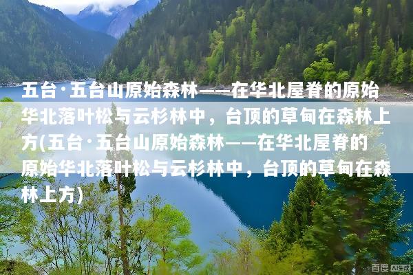 五台·五台山原始森林——在华北屋脊的原始华北落叶松与云杉林中，台顶的草甸在森林上方(五台·五台山原始森林——在华北屋脊的原始华北落叶松与云杉林中，台顶的草甸在森林上方)