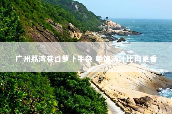 广州荔湾巷口萝卜牛杂 吸饱汤汁比肉更香