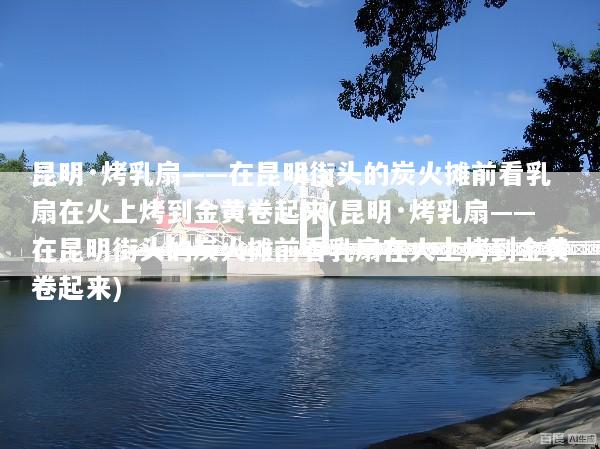 昆明·烤乳扇——在昆明街头的炭火摊前看乳扇在火上烤到金黄卷起来(昆明·烤乳扇——在昆明街头的炭火摊前看乳扇在火上烤到金黄卷起来)
