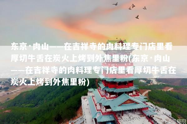 东京·肉山——在吉祥寺的肉料理专门店里看厚切牛舌在炭火上烤到外焦里粉(东京·肉山——在吉祥寺的肉料理专门店里看厚切牛舌在炭火上烤到外焦里粉)