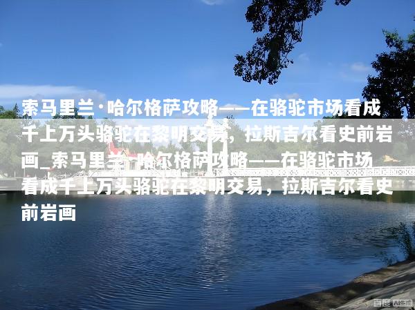 索马里兰·哈尔格萨攻略——在骆驼市场看成千上万头骆驼在黎明交易，拉斯吉尔看史前岩画_索马里兰·哈尔格萨攻略——在骆驼市场看成千上万头骆驼在黎明交易，拉斯吉尔看史前岩画